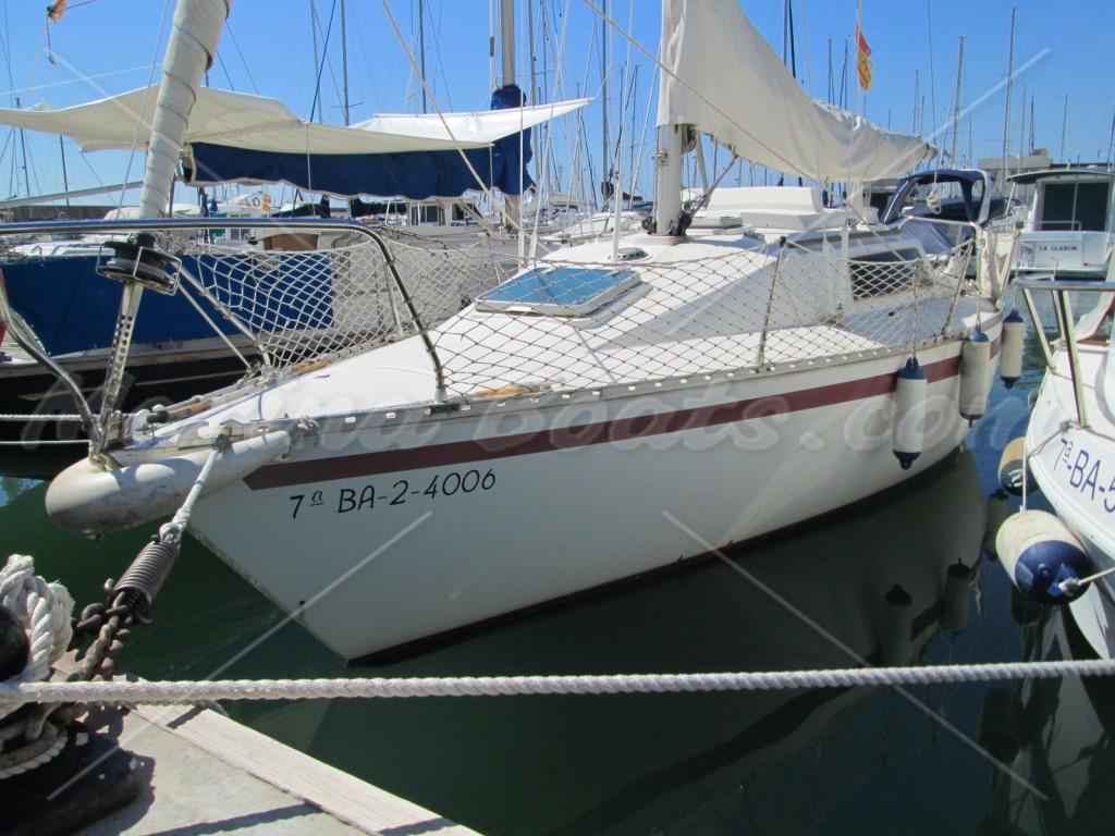 Furia 26