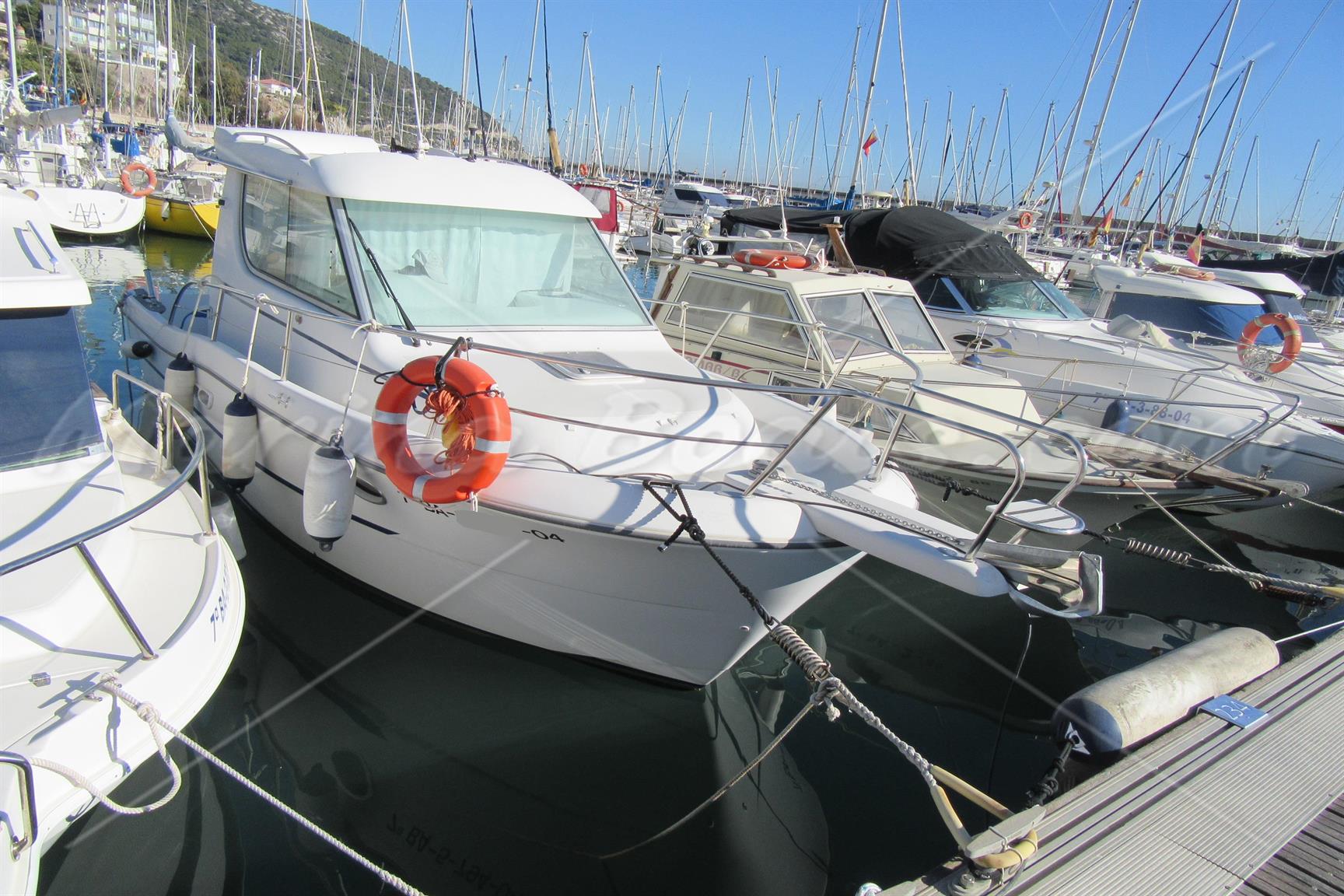 Sessa Dorado 28