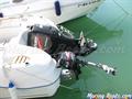 Quicksilver  Quicksilver pilothouse 580 motores