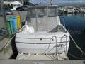 Bayliner 2452 Popa