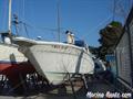 Sea Ray  Sea Ray 310 proa